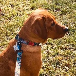 Meet your Posher, Kathleen